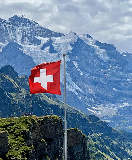 Compare moving company Basel offers