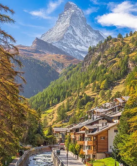 Evaluating moving company St. Gallen services